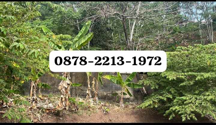 tanah bagus untuk hotel di pelabuham ratu sukabumi