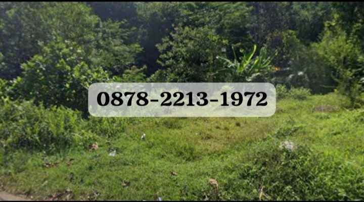 tanah bagus untuk perumahan cluster di leuwiliang