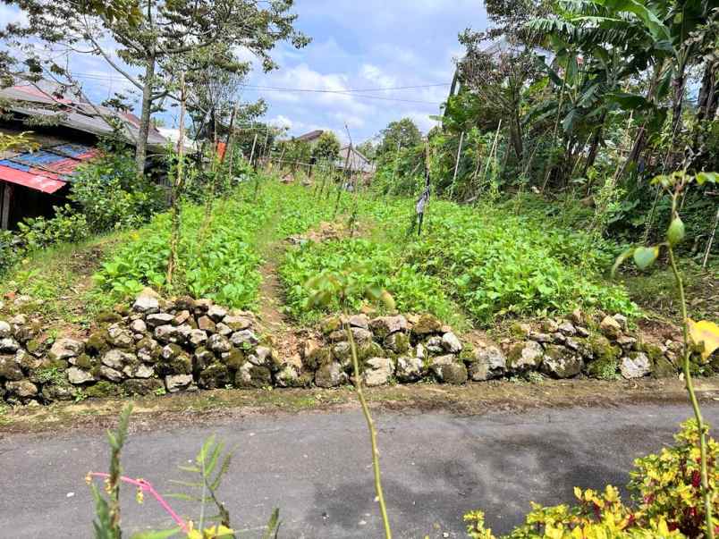 tanah datar utara pasar kemuning karanganyar