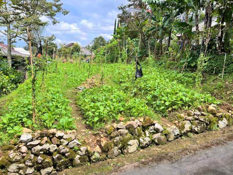 tanah datar utara pasar kemuning karanganyar