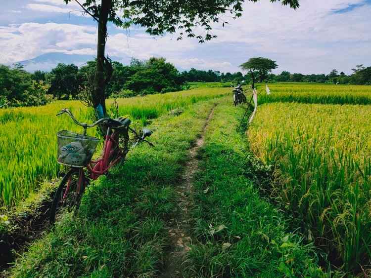 tanah dekat smpn 1 kedawung