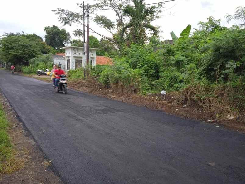 tanah di desa losari lor dusun