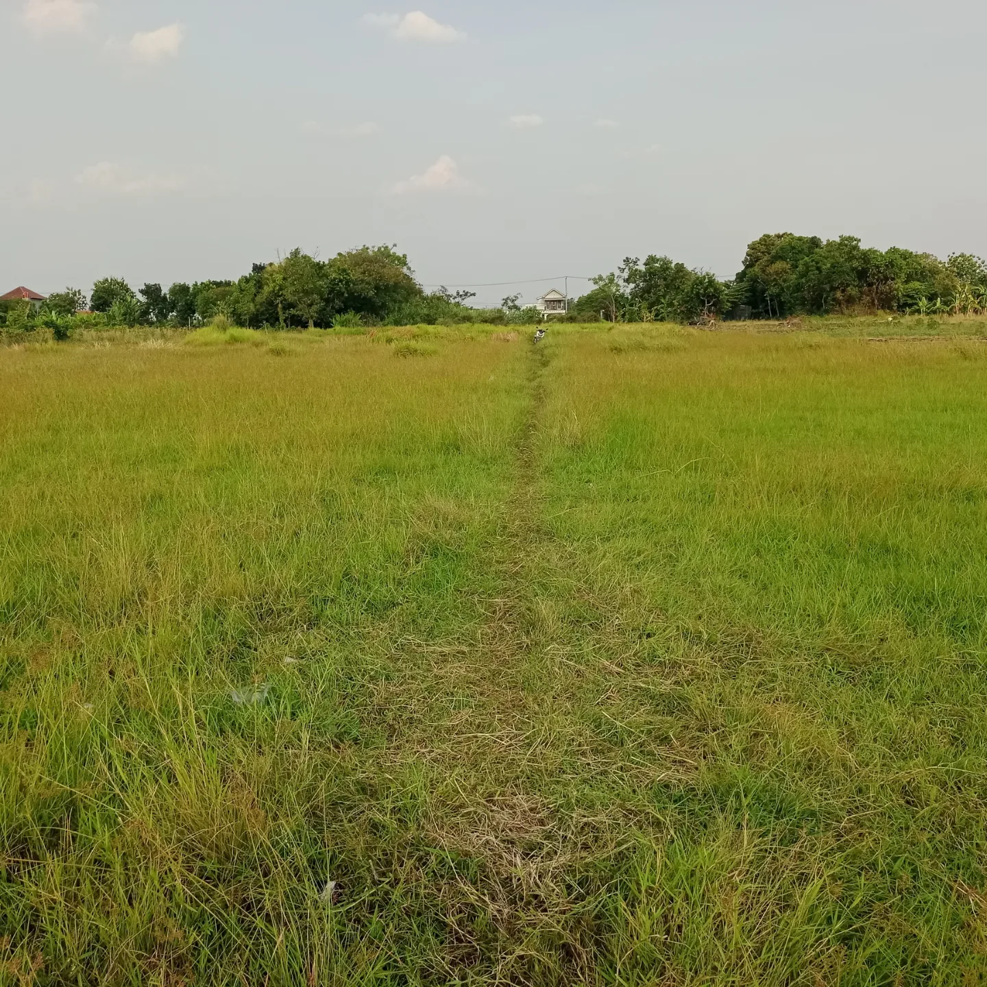 tanah di desa losari lor dusun
