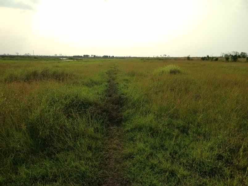 tanah di desa losari lor dusun