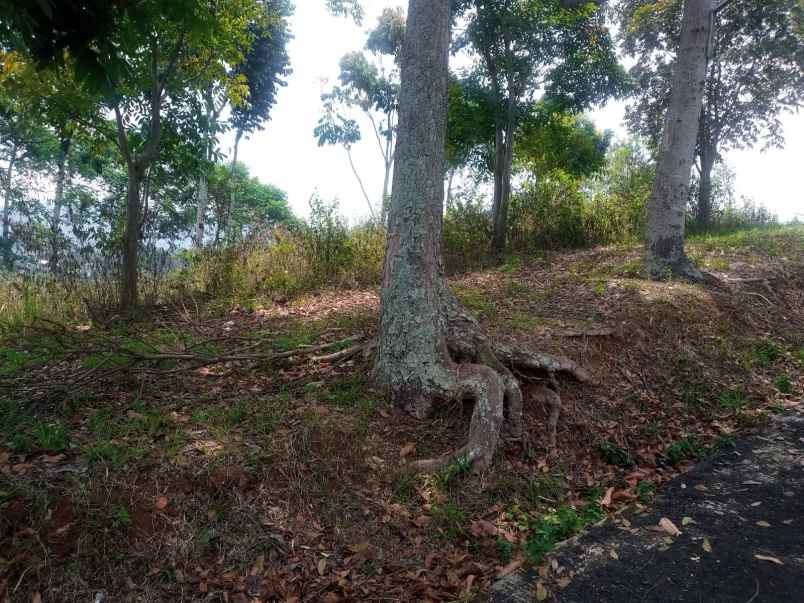 tanah di pegunungan cilengkrang atas bandung timur