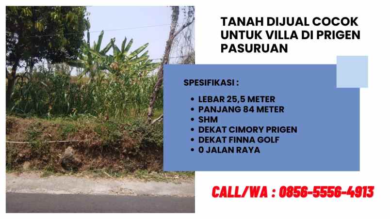 tanah dijual di prigen pasuruan cocok untuk villa