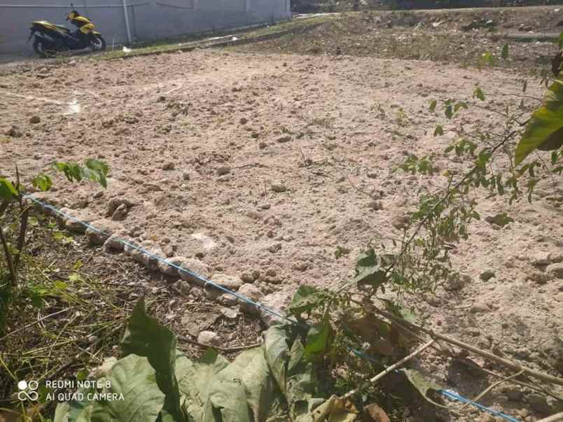 tanah jatisobo polokarto sukoharjo