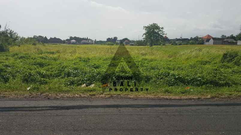 tanah jl pantai kedungu