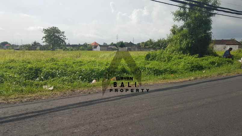 tanah jl pantai kedungu