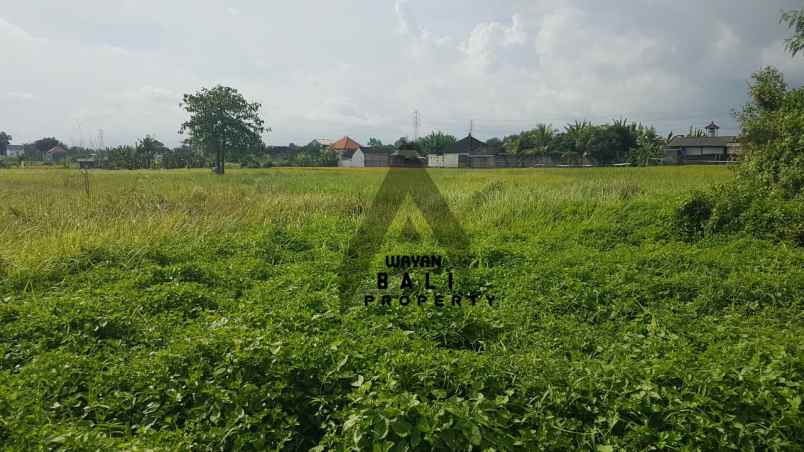 tanah jl pantai kedungu