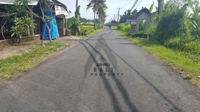 tanah jl pantai kedungu