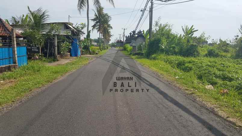 tanah jl pantai kedungu