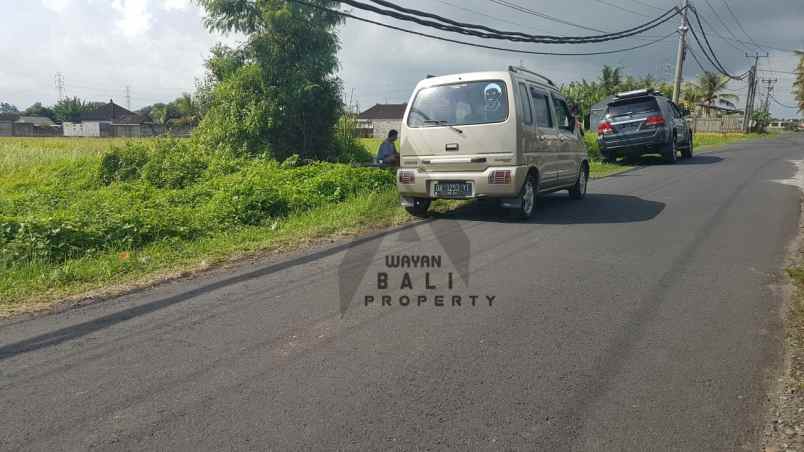 tanah jl pantai kedungu