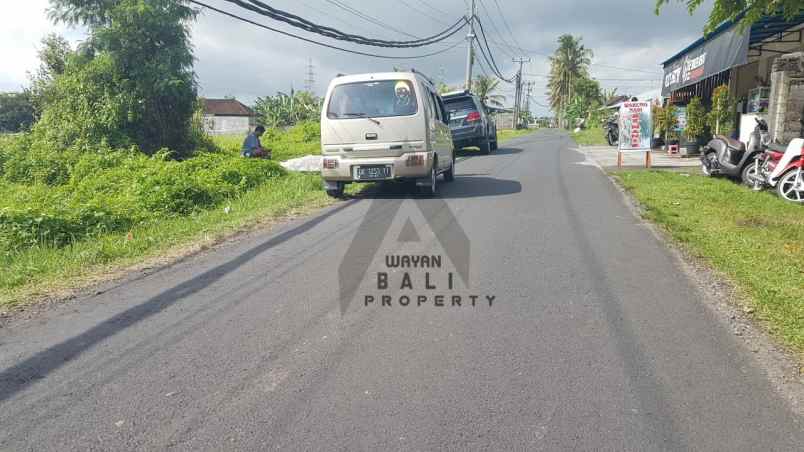 tanah jl pantai kedungu