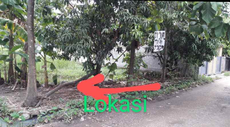 tanah jln jagawana desa sukarukun