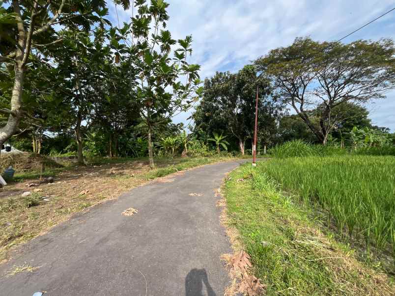 tanah jogja dekat pasar rejodani di palagan