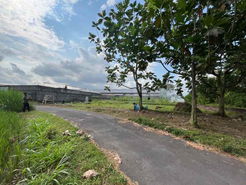 tanah jogja dekat pasar rejodani di palagan