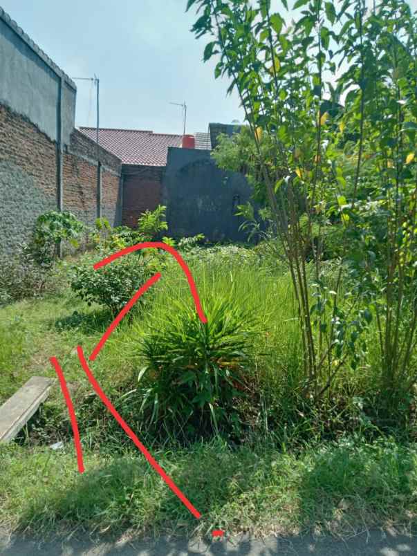 tanah kebun padat dan rata