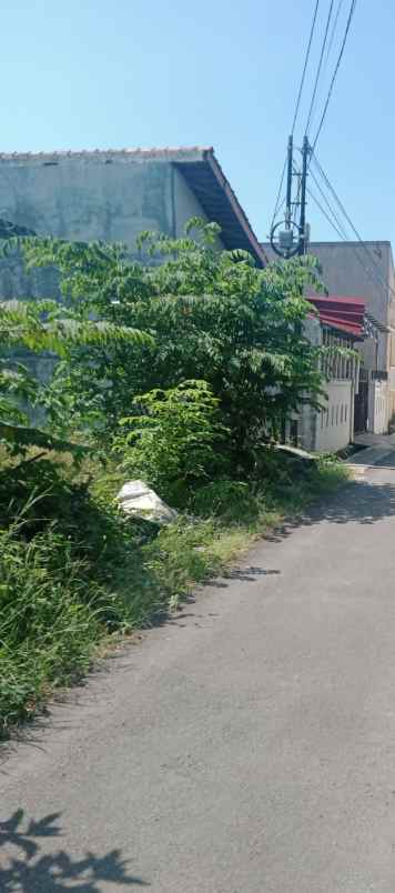 tanah kebun padat dan rata