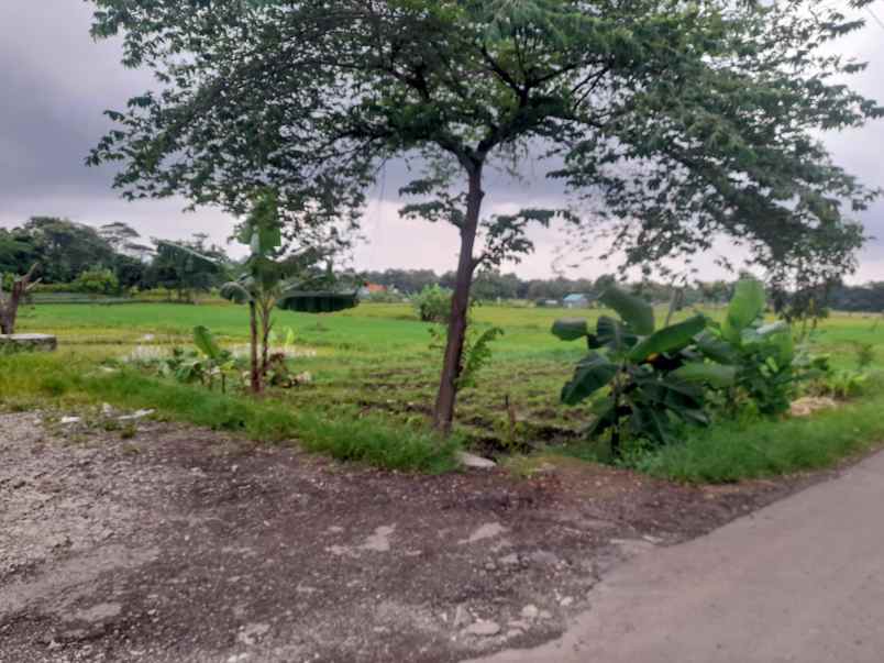 tanah kebun rata dan strategis