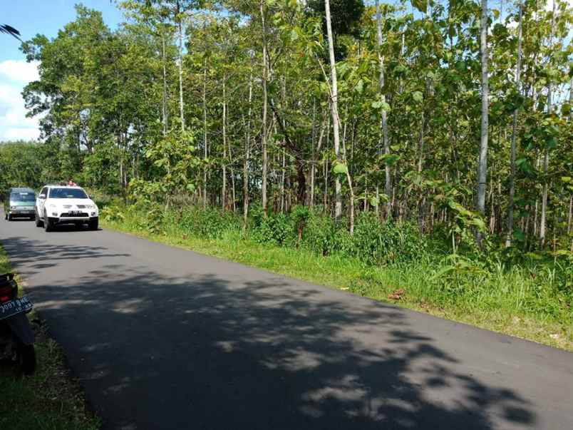 tanah kerjo karanganyar