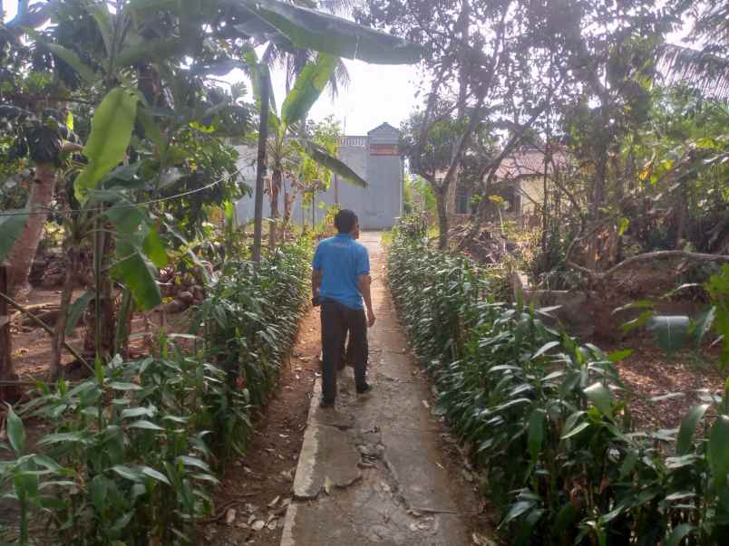 tanah komersil di jalan raya ciamis dekat bank