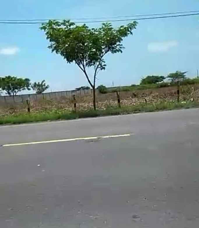 tanah lokasi widang tuban cocok untuk industri