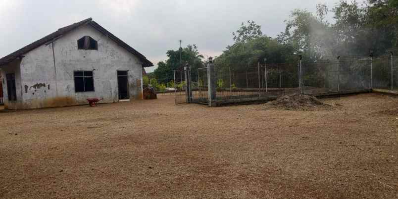 tanah mainroad lebarmuka 40meter di ciamis