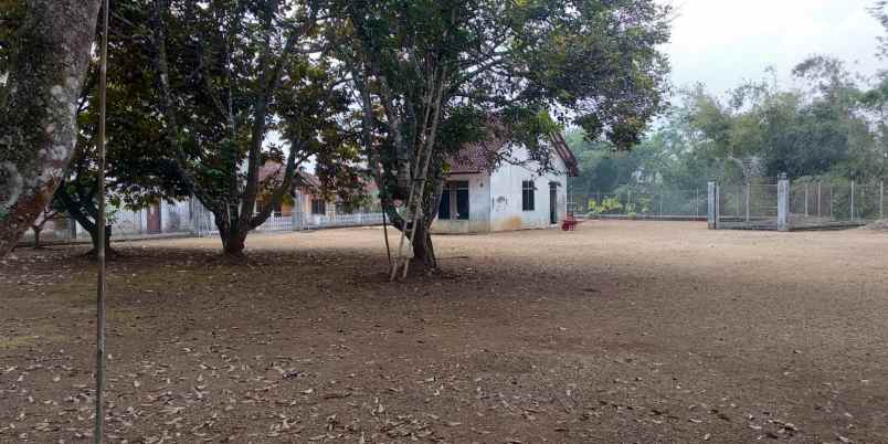 tanah mainroad lebarmuka 40meter di ciamis