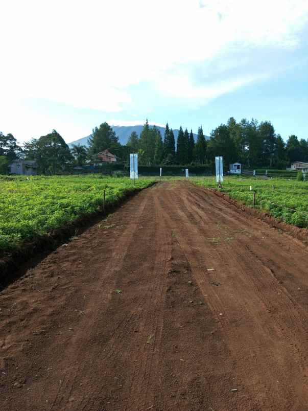 tanah megamendung puncak bogor