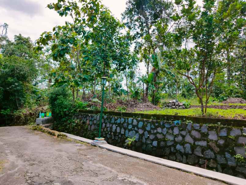 tanah mojogedang karanganyar