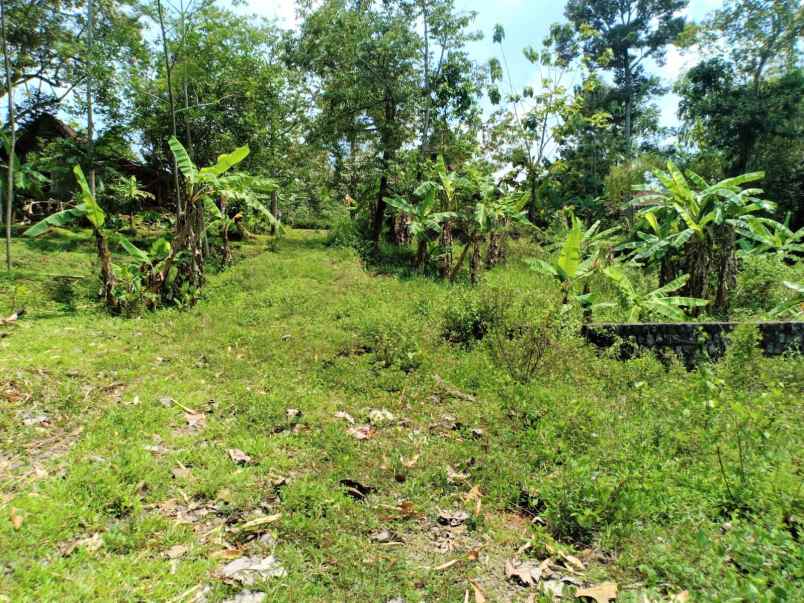 tanah murah 1591m 325 juta mojogedang karanganyar