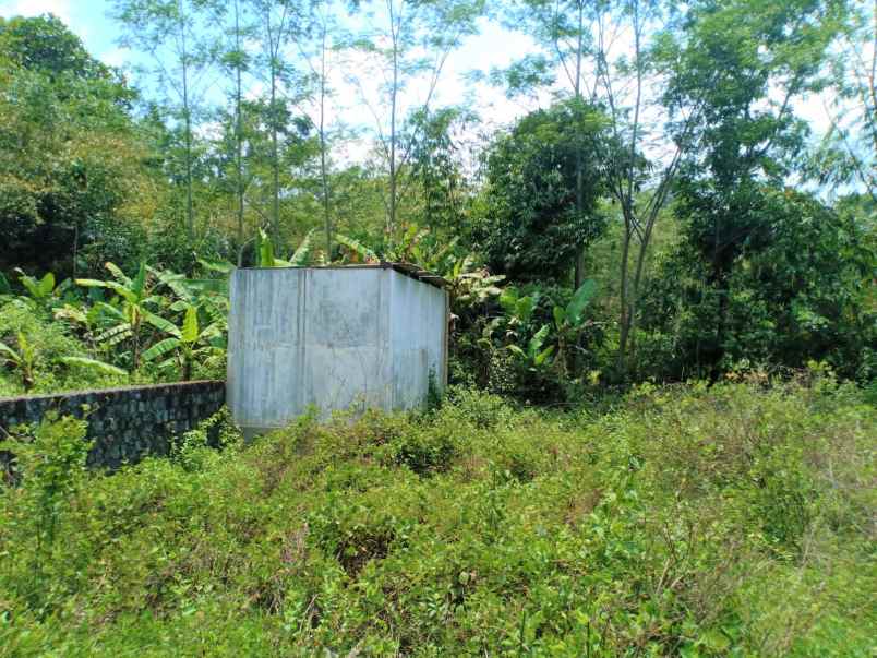 tanah murah 1591m 325 juta mojogedang karanganyar