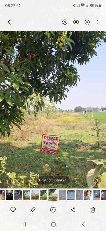 tanah murah bagus untuk property