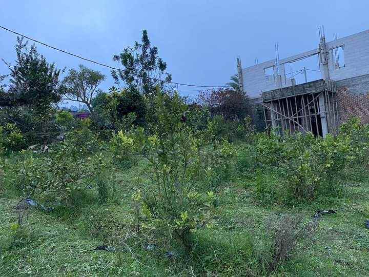 tanah murah lembang cocok buat villa kecil