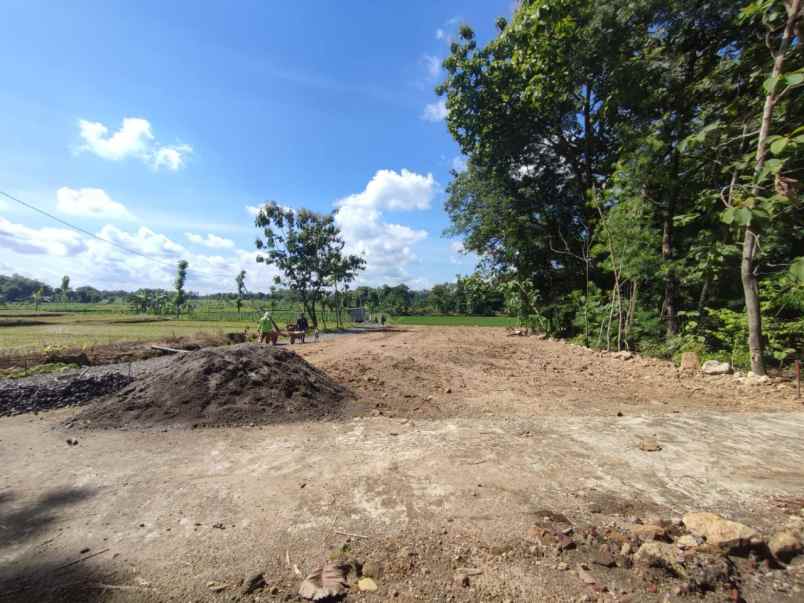 tanah murah sertifikat ready di mranggen polokarto
