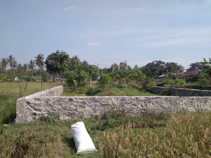tanah murah shm di srandakan bantul