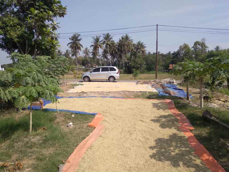 tanah murah shm di srandakan bantul