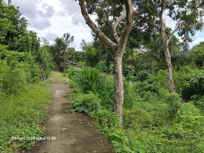tanah pinggir sungai di padang luwih dalung bali