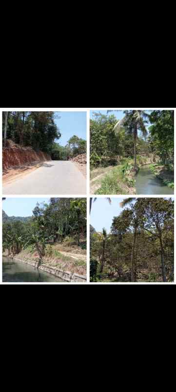 Tanah Produktif Daerah Sagalaherang Subang Jawa Barat