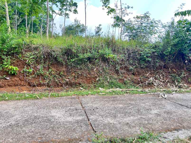 tanah view cantik 2850m hanya 333rb m karangpandan