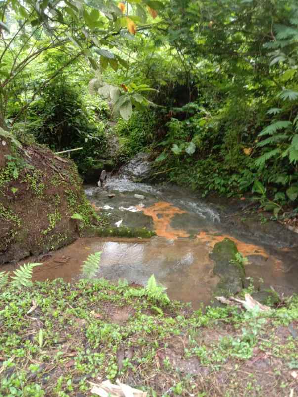 tanah view sawah di lukluk badung 20 menit ke canggu