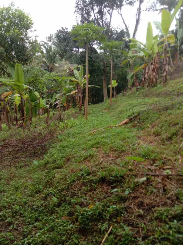 tanah view sawah di lukluk badung 20 menit ke canggu