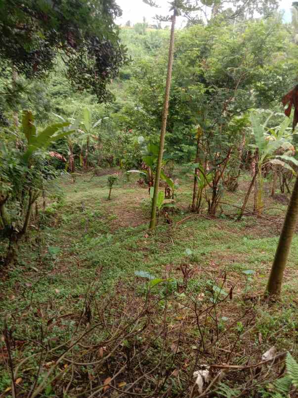 tanah view sawah di lukluk badung 20 menit ke canggu