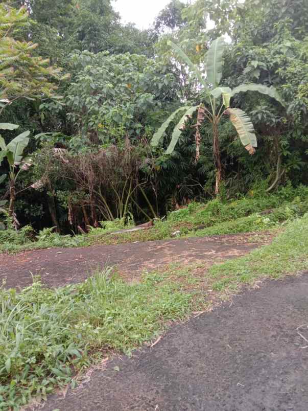 tanah view sawah di lukluk badung 20 menit ke canggu