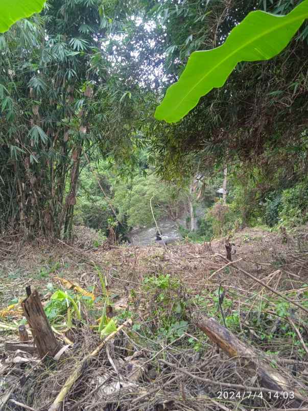 tanah view sungai dan jungle di lodtunduh ubud bali