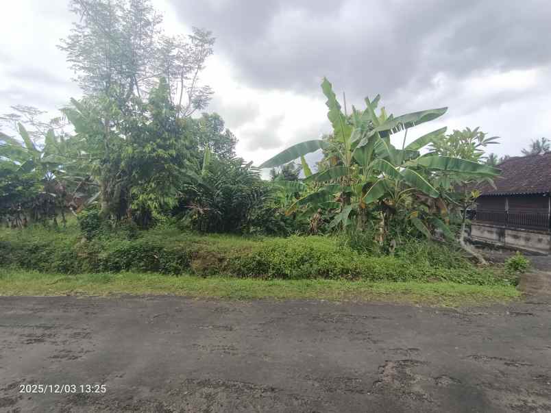 tanah zona kuning dekat pantai selabih tabanan bali