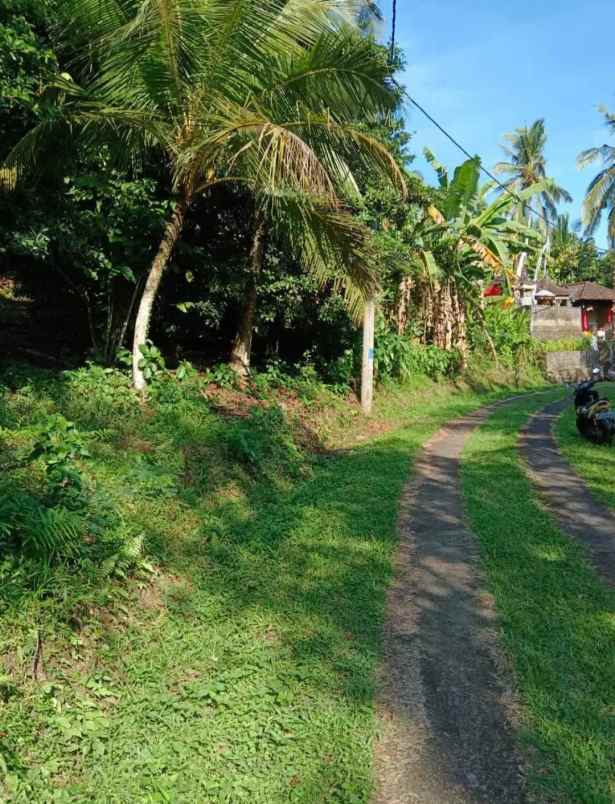tanah zona kuning dekat pantai selabih tabanan bali