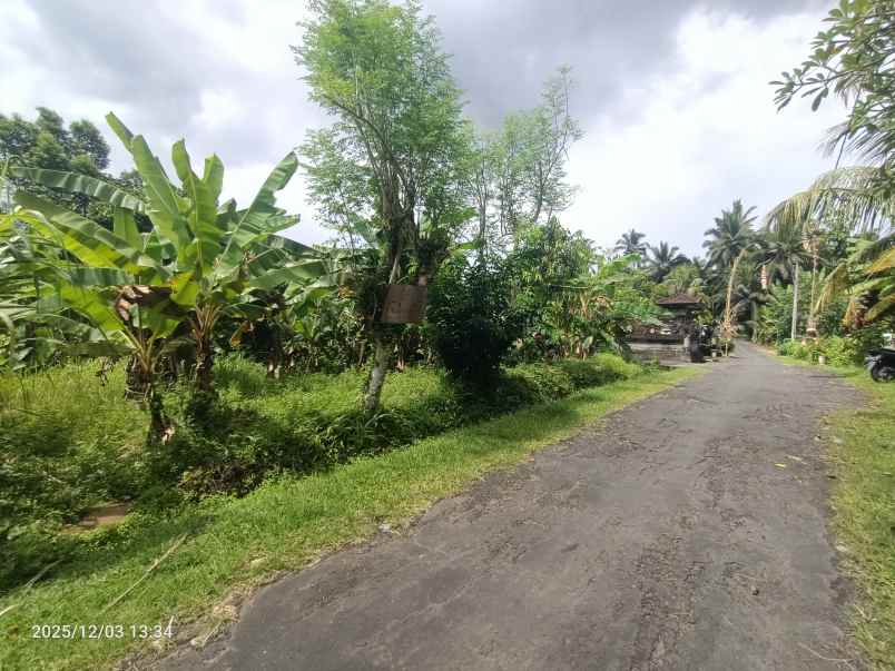 tanah zona kuning dekat pantai selabih tabanan bali