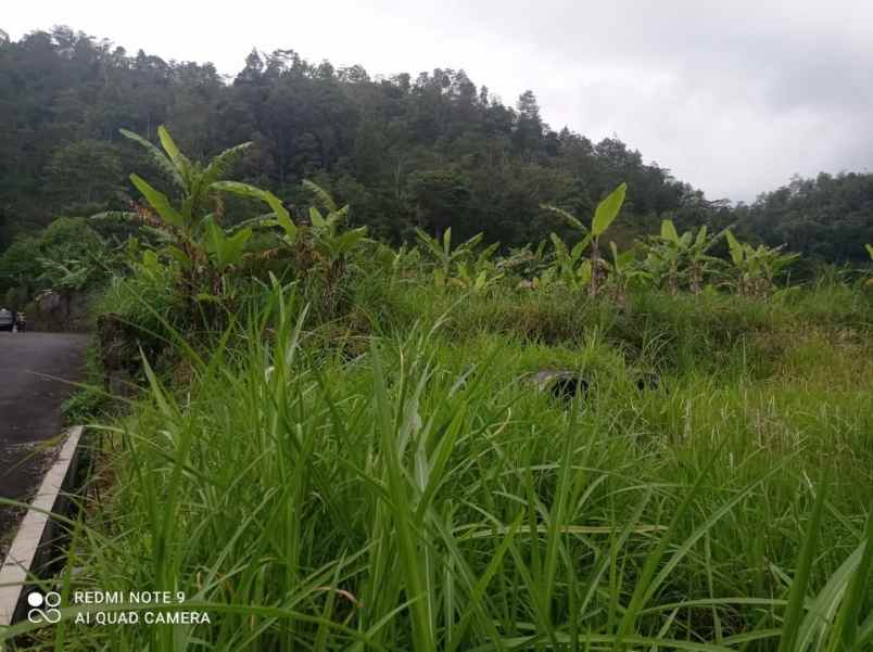 villa kawasan wisata alam